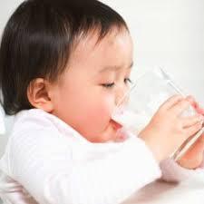 Trẻ 1 tuổi có thể uống cả sữa tươi lẫn sữa bột