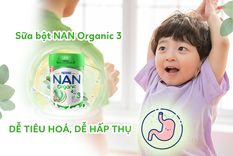 Sữa Nan Organic số 3 giúp bé dễ tiêu hóa và dễ hấp thụ hơn